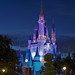 Cindy Castle Photo 32