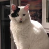 Charlene Power Photo 5