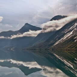 Darren Mcgill Photo 6