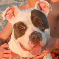 Heather Cochran Photo 14