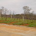 Tracy Blackstock Photo 2