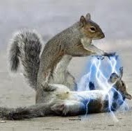 Scott Greene Photo 44 Scott Greene Photo 44