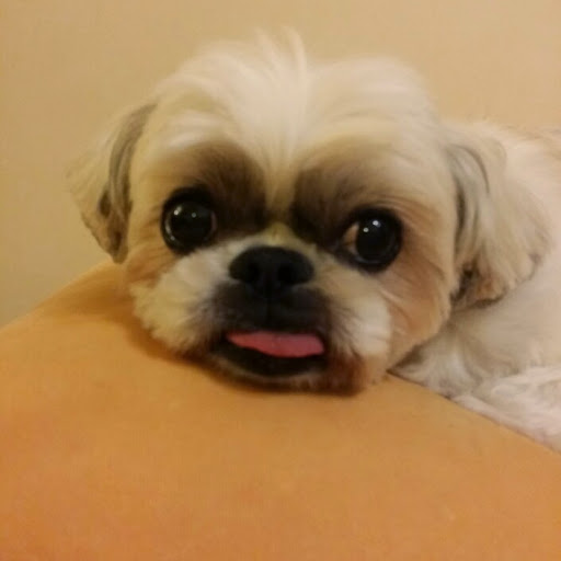 Maggie Wong Photo 14