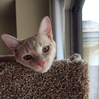 Sharon Childers Photo 17