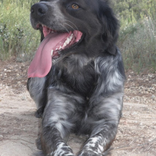 Julie Story Photo 31