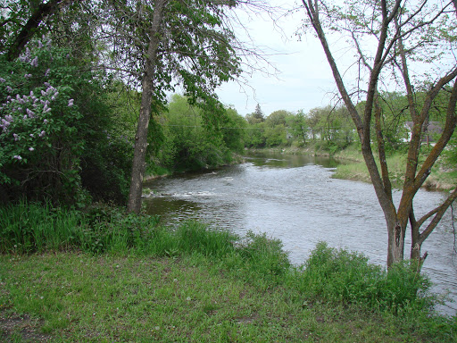 Theresa Palmer Photo 27