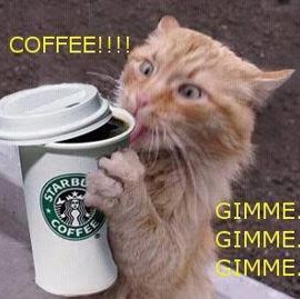 Arthur Ricker Photo 4