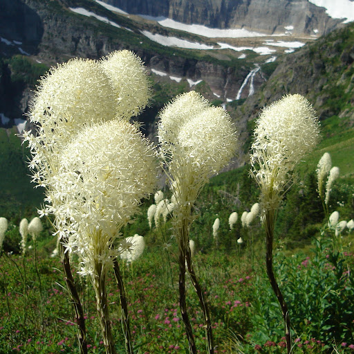 Connie Johnson Photo 26 Connie Johnson Photo 26