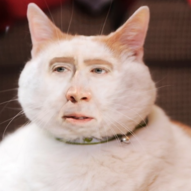 Jared Shoemaker Photo 6