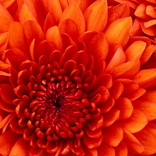 Stephanie Sandoval Photo 3