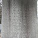 Abraham Clark Photo 14
