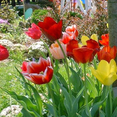 Jackie Richmond Photo 4