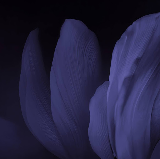 Gregory Blake Photo 25