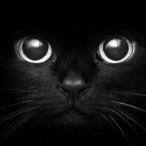 Catherine Marks Photo 19