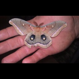 Sarah Cloutier Photo 17