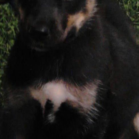 Melissa Gibbs Photo 39