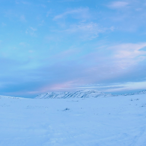 Julia Street Photo 21