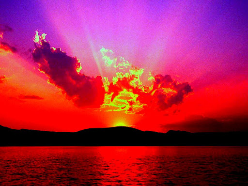 Amanda Comeau Photo 5