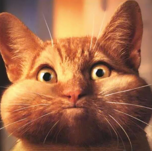 Michael Hartmann Photo 44