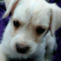 Sandy Strickland Photo 19