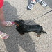 Tammy Stone Photo 30