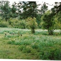 Kathryn Stanford Photo 4