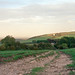 Jill Hill Photo 39