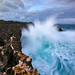 Elizabeth Tews Photo 2