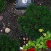 Marlene Newton Photo 7