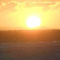 Steven Winter Photo 19