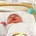Thomas Conner Photo 39