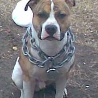 Bryan Godfrey Photo 31