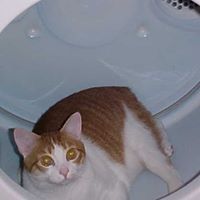 Sandra Eldridge Photo 14