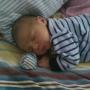 Nicole Belisle Photo 4