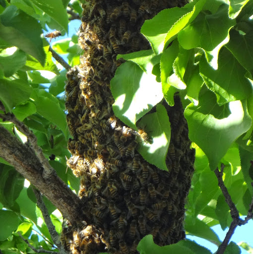 Elizabeth Mcgraw Photo 21