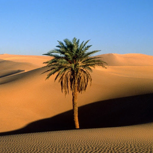 Geoff Peterson Photo 14