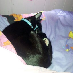 Sharon Cope Photo 26