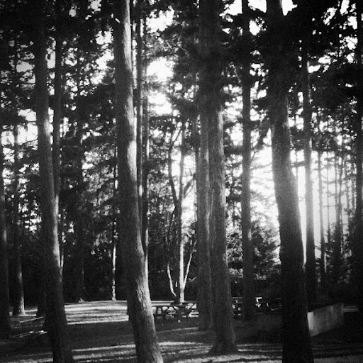 Jennifer Sawicki Photo 4