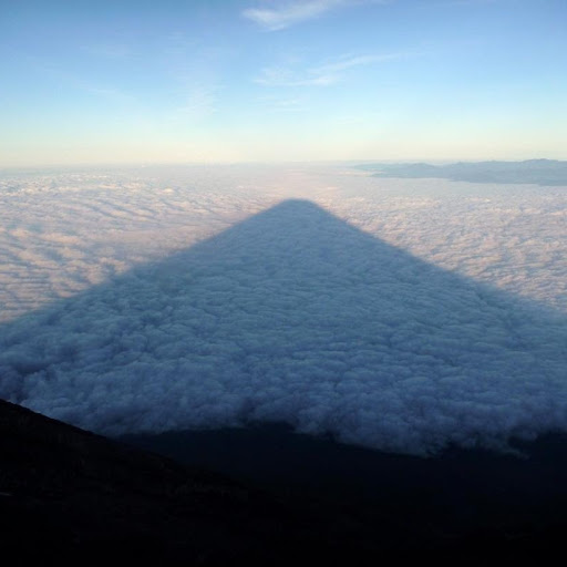 David Trent Photo 23