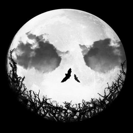 Gary Davidson Photo 34