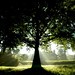 Rebecca Everhart Photo 8