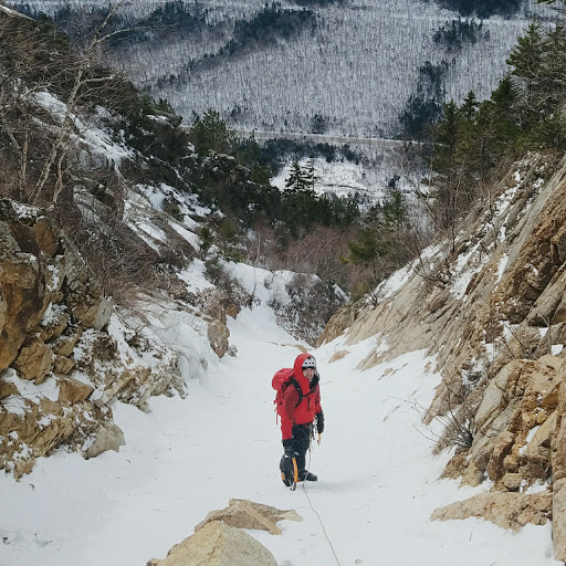 David Dillon Photo 15