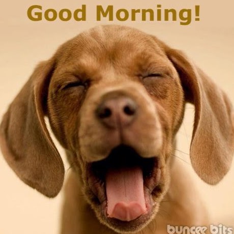 Vicki Alexander Photo 15