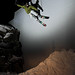 Tony Dudley Photo 10