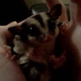 Sarah Irwin Photo 33