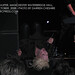 Cyndy Long Photo 9