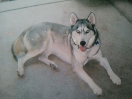 Kevin Berger Photo 14