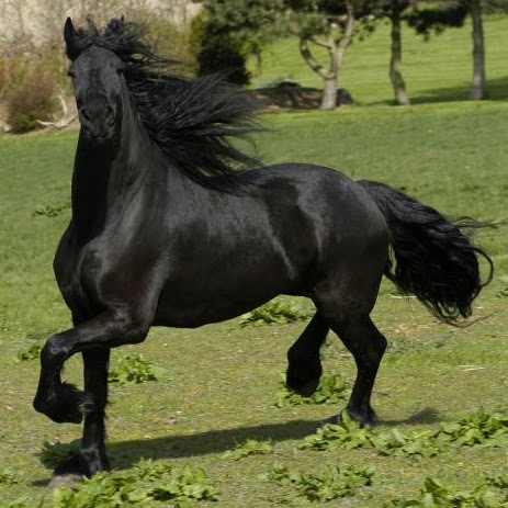 Sherry Sullivan Photo 24