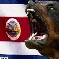 Richard Darling Photo 9