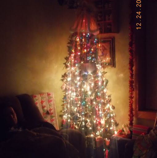 Theresa Warner Photo 30